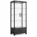 Vitrina de metal negro con estantes de vidrio templado