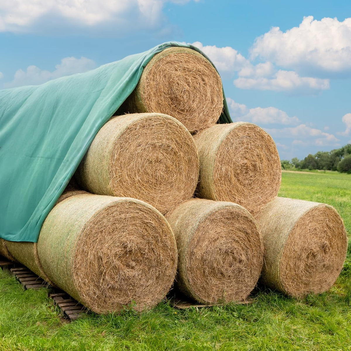 Lona de proteção, VOSS.farming, Heuvlies, 140g, 9,8 × 40m, 9,8 × 20m, 2 × 9,8m, com rodas, Verde, para uso diário